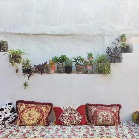 Hostel Zicatela Taghazout Eksteriør bilde